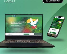 Internetas, IT - Unikalus svetainių ir el. parduotuvių kūrimas, Seo, Ui/ux - 2