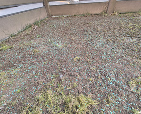 Vejos priežiūra, įrengimas - Skarifikavimas ir įrangos nuoma - 2