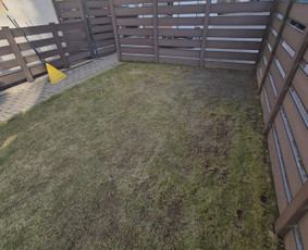 Vejos priežiūra, įrengimas - Skarifikavimas ir įrangos nuoma - 1