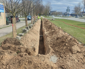 Visi Žemės Kasimo Darbai,nuoma. / Linas Galiauskas / Darbų pavyzdys ID 4370053