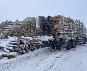 Buitinės paslaugos - Stambios malkos pigiai - 1