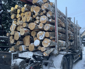 Buitinės paslaugos - Stambios malkos pigiai - 2