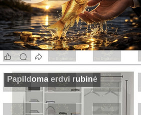 Aukščiausios Kokybės Svetainių ir Mob. Programėlių Kūrimas / The Digitalising Ltd / Darbų pavyzdys ID 4371213