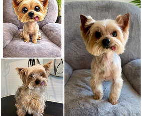 Paslaugos augintiniams - &Scaron;uniukų kirpykla Kaune - 3