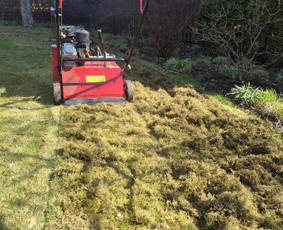 Aplinka, sodas - Skarifikavimas ir įrangos nuoma - 4