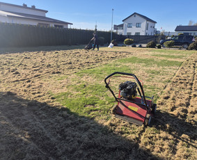 Aplinka, sodas - Skarifikavimas ir įrangos nuoma - 1