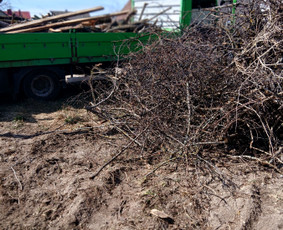 Drenažo įrengimas - Sklypų lyginimas.vejos irengimas apželdinimo darbai - 1