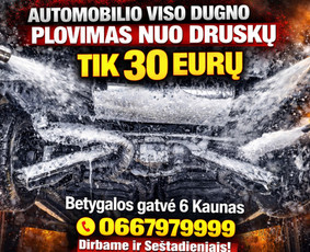 Cheminis salono valymas - Automobiliu plovykla variklių plovimas i&scaron; vir&scaron;aus ir apačios - 2