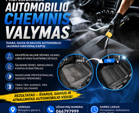 Cheminis salono valymas - Automobiliu plovykla variklių plovimas i&scaron; vir&scaron;aus ir apačios - 4