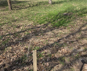 Matininkai, geodezininkai - Kadastrai. Topografija. Geodezija. Fotogrametrija. Ortofoto - 2