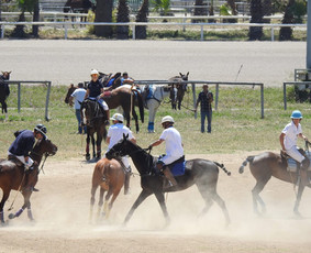 Fotografai - Vestuvių, krik&scaron;tynų ir &scaron;eimos akimirkų fotografė - 4