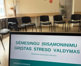 Seminarų vedimas - Psichologiniai mokymai ir seminarai - 2