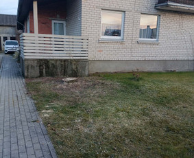 Arboristo paslaugos: medžių pjovimas/genėjimas / Tomas Damulis / Darbų pavyzdys ID 4374393