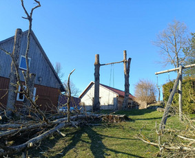 Arboristo paslaugos: medžių pjovimas/genėjimas / Tomas Damulis / Darbų pavyzdys ID 4374411