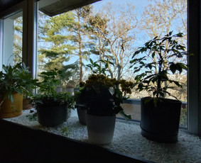 Vidaus apdailos darbai - Kambarių remontas, dekoravimas, smulkus remontas - 1