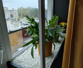 Vidaus apdailos darbai - Kambarių remontas, dekoravimas, smulkus remontas - 2