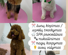 &Scaron;unų, kačių kirpyklos - Kirpimas nuo 20&euro; Klaipeda - 1