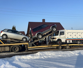 Krovinių pervežimas - Tralas Europoje ir Lietuvoje - 1