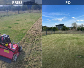 Vejos priežiūra, įrengimas - Vejos skarifikavimas, Core aeracija, levelingas, atsėjimas - 1