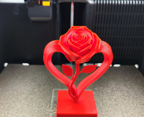 Kitos kategorijos - 3D spausdinimas. - 2