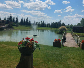 Kaimo turizmo sodybos - Diržioni&scaron;kių kaimo sodyba / 18 km iki Vilniaus miesto. - 3