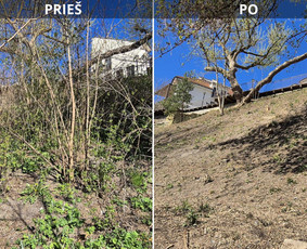 Kiemo, aplinkos apželdinimas - Green Sklypai - Sklypu valimas - 1