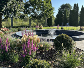 Vaismedžių sodinimas ir priežiūra - Apželdinimo darbai, laistymo sistemos įrengimas - 2