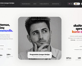 Interneto svetainių kūrimas - Profesionalus programinės įrangos kūrėjas - 1