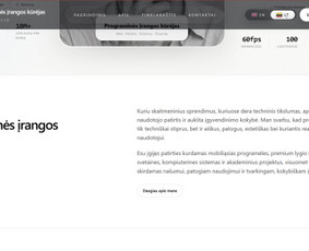 Interneto svetainių kūrimas - Profesionalus programinės įrangos kūrėjas - 4