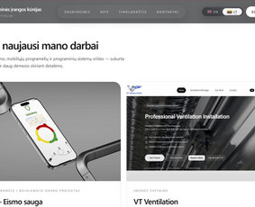 Interneto svetainių priežiūra - Profesionalus programinės įrangos kūrėjas - 1