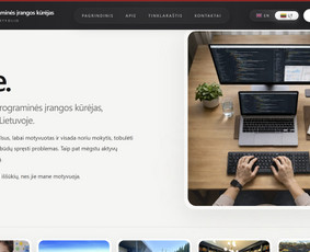Interneto svetainių kūrimas - Profesionalus programinės įrangos kūrėjas - 2