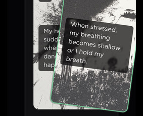 Svetainių kūrimas - Automatizacija, Verslo Valdymo Sistemos, Svetainės - 2