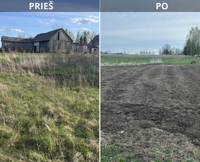 Visi žemės Kasimo darbai mini ekskavatoriumi. / Nojus / Darbų pavyzdys ID 4378245