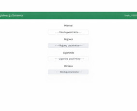 Profesionalus programinės įrangos kūrėjas / Oners / Darbų pavyzdys ID 4378507