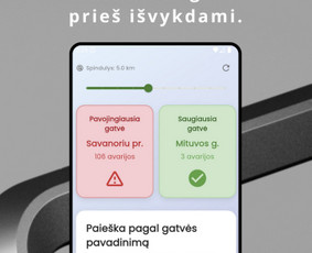 Profesionalus programinės įrangos kūrėjas / Oners / Darbų pavyzdys ID 4378521