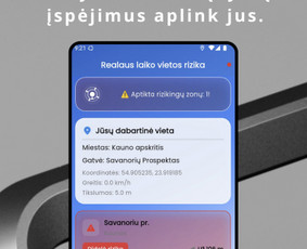 Profesionalus programinės įrangos kūrėjas / Oners / Darbų pavyzdys ID 4378523