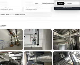 Profesionalus programinės įrangos kūrėjas / Oners / Darbų pavyzdys ID 4378527