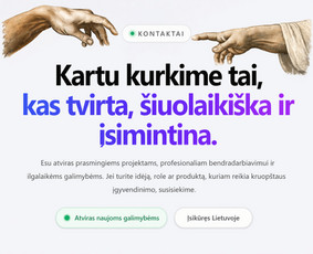 Interneto svetainių kūrimas - Profesionalus programinės įrangos kūrėjas - 1