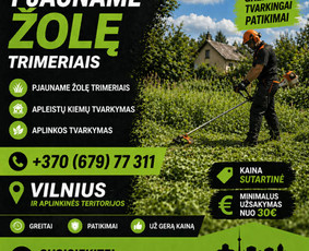 Vejos priežiūra, įrengimas - Žolės pjovimas ir aplinkos priežiūra už prieinamą kainą - 4