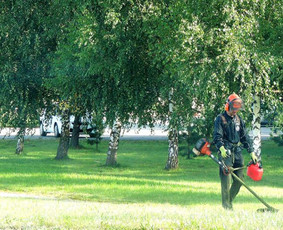 Vejos priežiūra, įrengimas - Žolės pjovimas ir aplinkos priežiūra už prieinamą kainą - 3