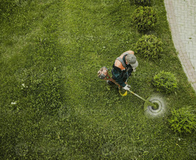 Vejos priežiūra, įrengimas - Žolės pjovimas ir aplinkos priežiūra už prieinamą kainą - 2