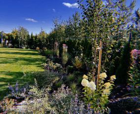 Kra&scaron;tovaizdžio projektavimas - Apželdinimo projektavimas, įrengimas, priežiūra - 1