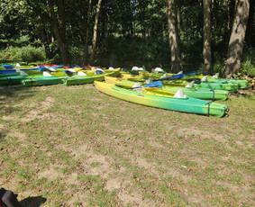 Baidarių nuoma - Baidarių nuoma Baltosios Ančios upe. - 4