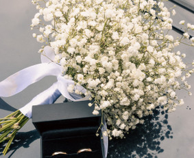 Fotopaslaugos - Vestuvės/asmeninės/krik&scaron;tynos/kūrybinės/vaikų/nė&scaron;tukės - 4