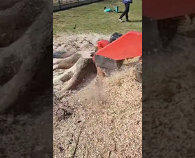 Statybos, apdaila - Kelmų frezavimas &scaron;aku smulkintuvo nuoma - 1