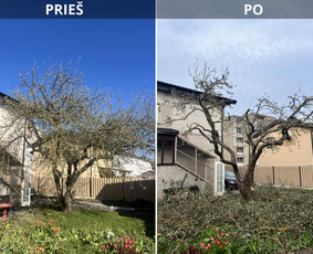 &Scaron;akų smulkinimas - Saugus Pjūvis. Avaringų Medžių Pjovimas Genėjimas Arboristai - 1