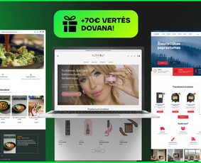 Programavimas su WordPress - Svetainė per 3d. + 70&euro; vertės dovana! - 1