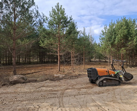 Apleistų sklypų tvarkymas / LUDAGO UAB / Darbų pavyzdys ID 4380283