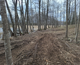 Apleistų sklypų tvarkymas / LUDAGO UAB / Darbų pavyzdys ID 4380285