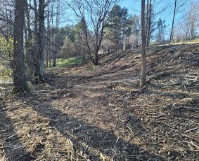 Aplinkos tvarkymas, apželdinimas - Apleistų sklypų tvarkymas - 2